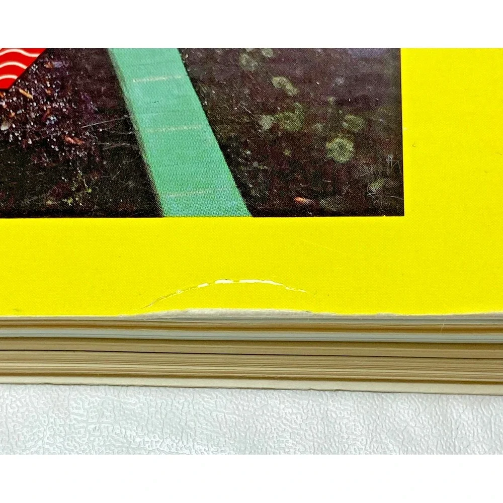 1990s North American Fishing‎ Club Members' Cookbook NAFC Minnesota MN Fish